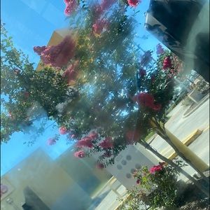 Meet your Posher, Makayla